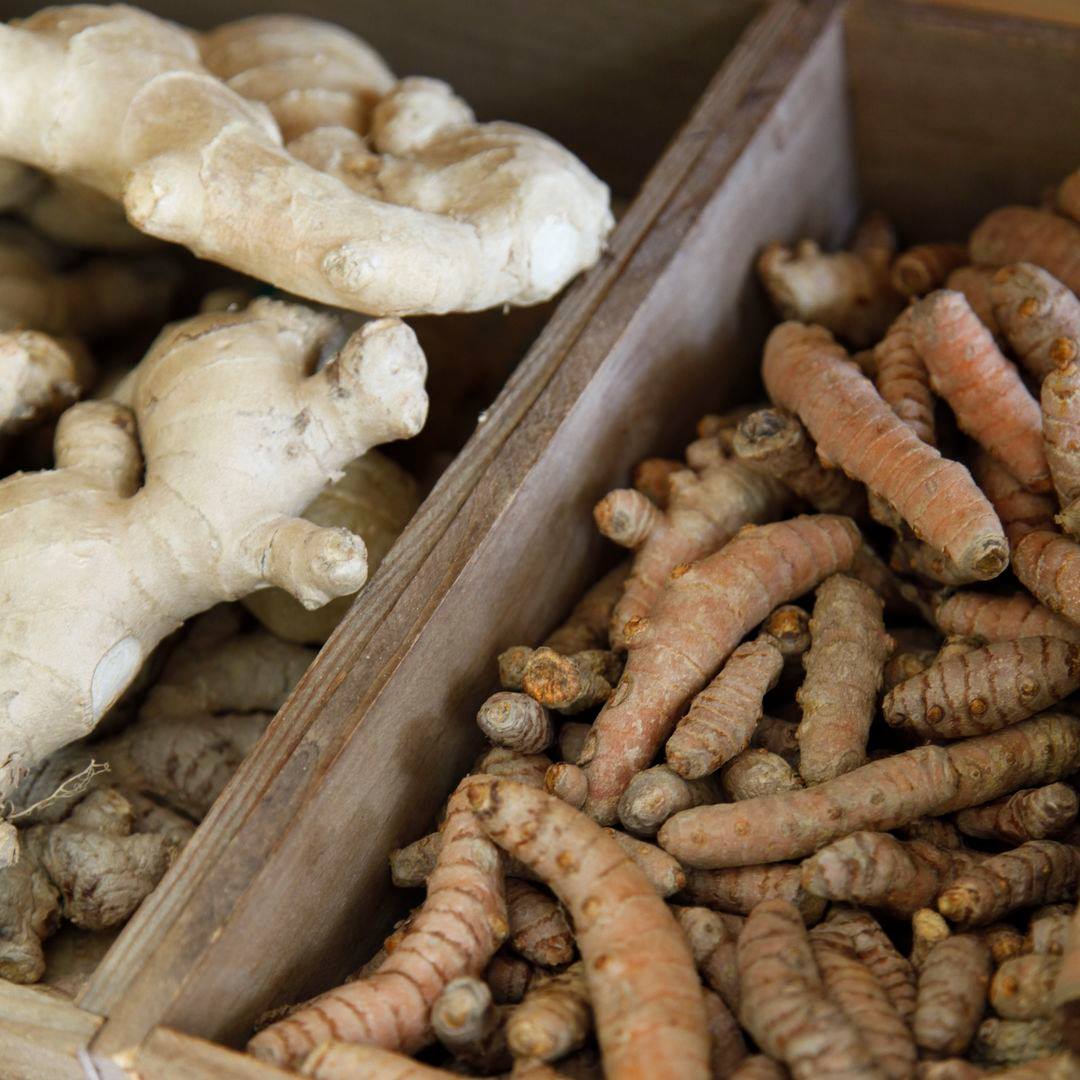 Our Stores Falmouth The Natural Store